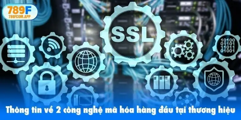 Thông tin về 2 công nghệ mã hóa hàng đầu tại thương hiệu
