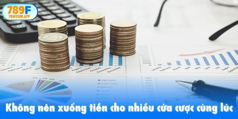 Không nên xuống tiền cho nhiều cửa cược cùng lúc