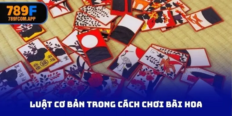 Luật cơ bản trong cách chơi bài hoa
