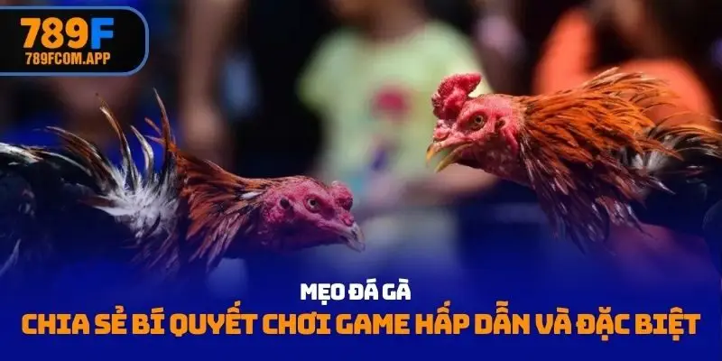 Mẹo đá gà