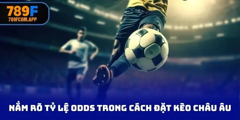 Nắm rõ tỷ lệ odds trong cách đặt kèo châu Âu