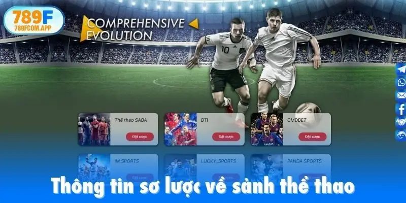 Thông tin sơ lược về sảnh thể thao