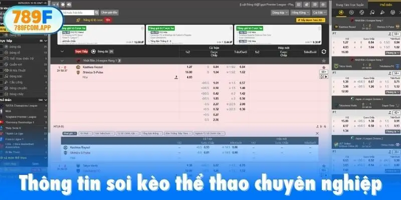 Thông tin soi kèo thể thao chuyên nghiệp